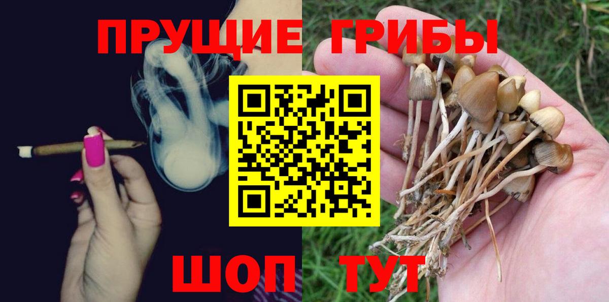 Карасук  Псилоцибиновые грибы Cubensis  Вход с VPN  закладка  Галлюциногенные грибы Cubensis 