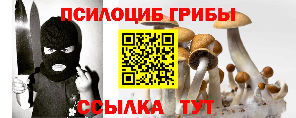 Псилоцибиновые грибы Cubensis Карасук